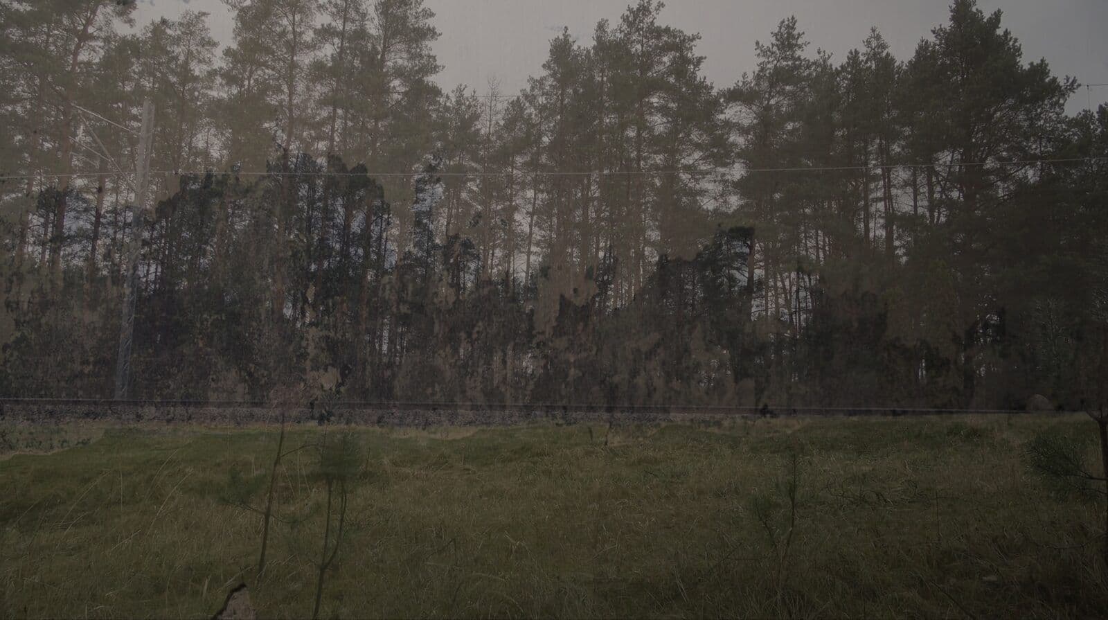 Backgrounds - Image 3