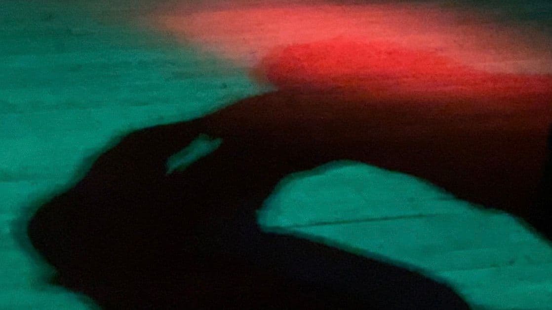 The Mildmay Series - Image 5