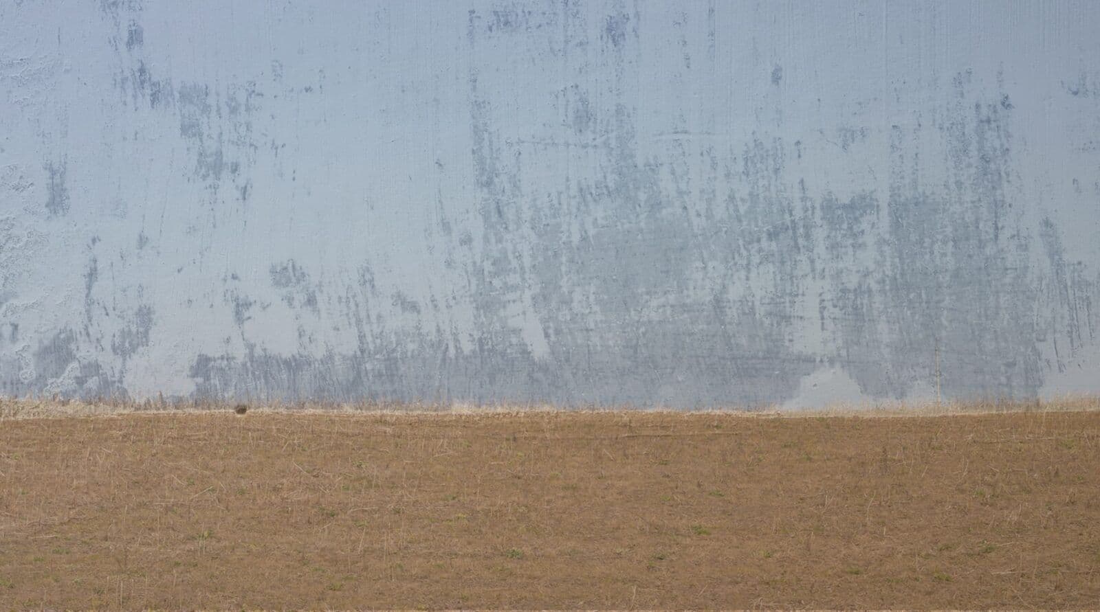 Backgrounds - Image 7